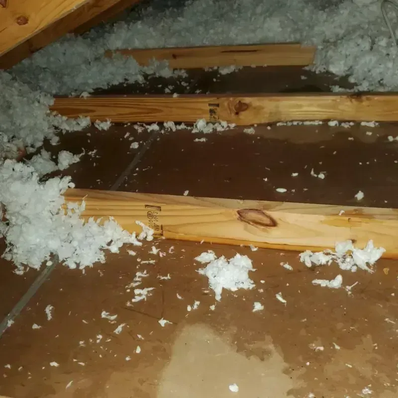 Attic Water Damage in Hayden, ID