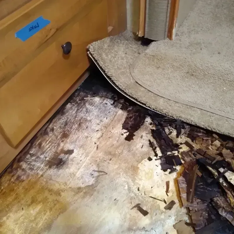 Wood Floor Water Damage in Hayden, ID